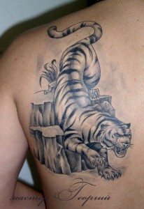 Тигр (эскиз из Украинского тату журнала)